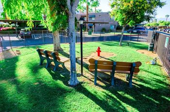 Dog park